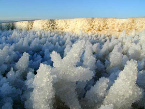 deadsea1.jpg