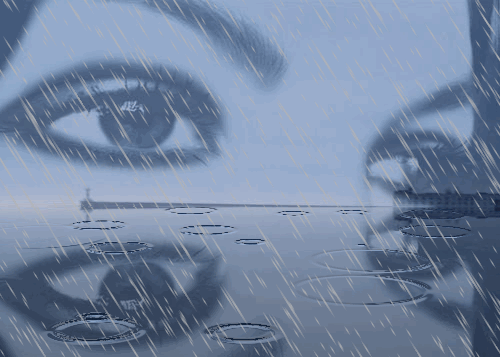 23329907_267115.gif