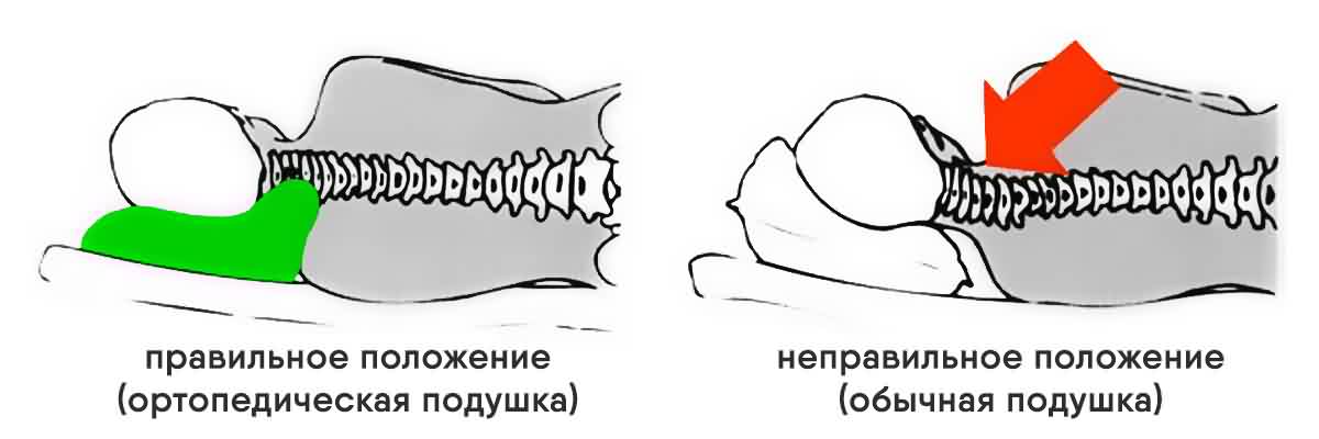 2_m.jpg