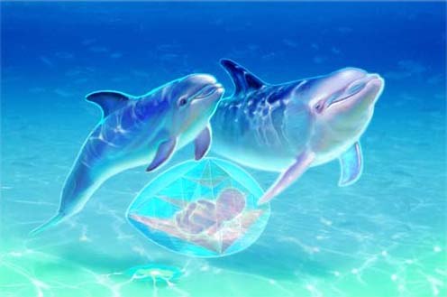 Baby%20Dolphin%20&%20Whale.jpg