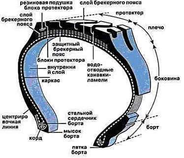 Pokrychki-stroenie.jpg