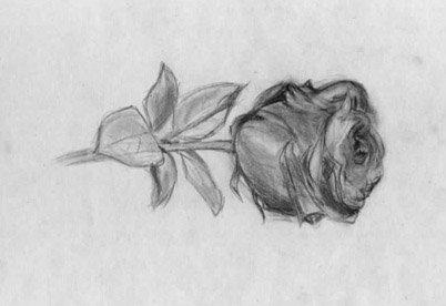rose.jpg
