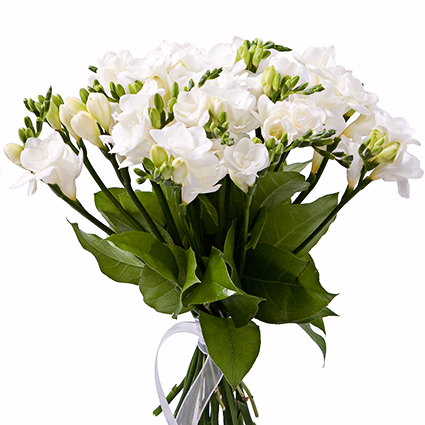 flowers_n5tFOu.jpg