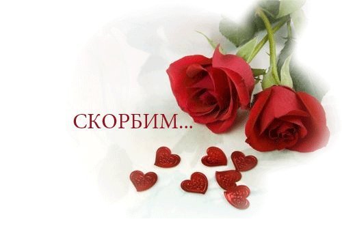 56870070_0_1_1.JPG