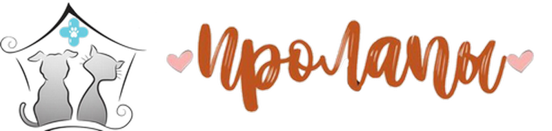 logo-2-4.png