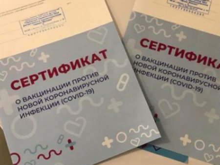 1609912769_dvc79cwqhje.jpg