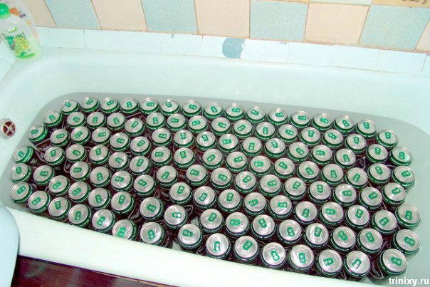 pivo_39.jpg