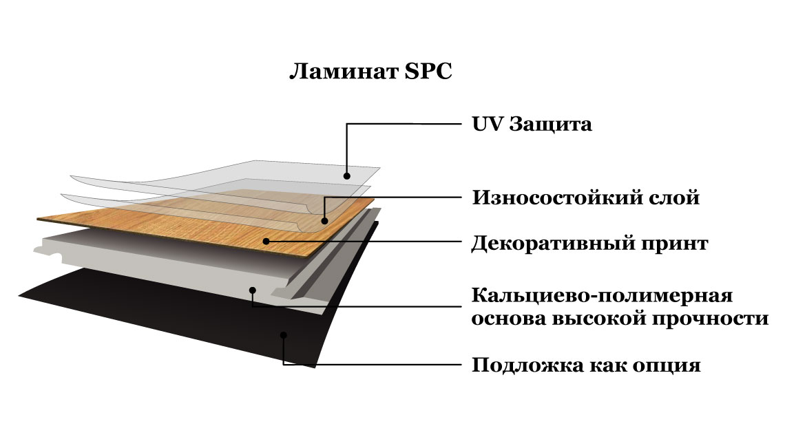 stroenie-spc-rus1.jpg