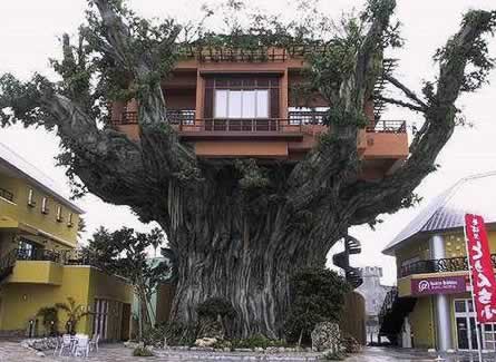 tree-house-japan.jpg