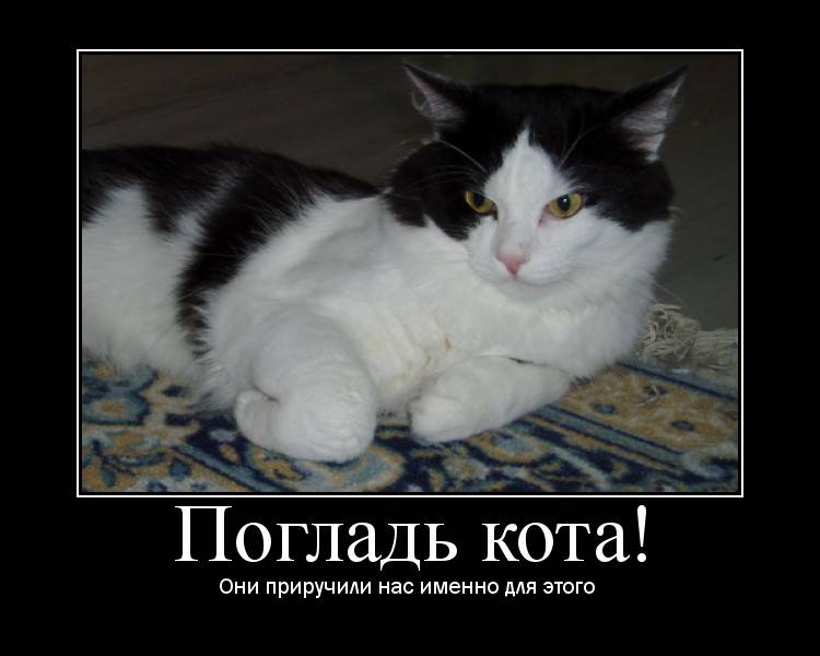 motivator8607091.jpg